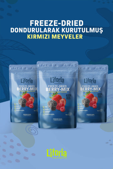 Freeze Dried Berry Mix - Dondurularak Kurutulmuş Meyve - Freeze Dry Kuru Meyve 20gr - 3lü