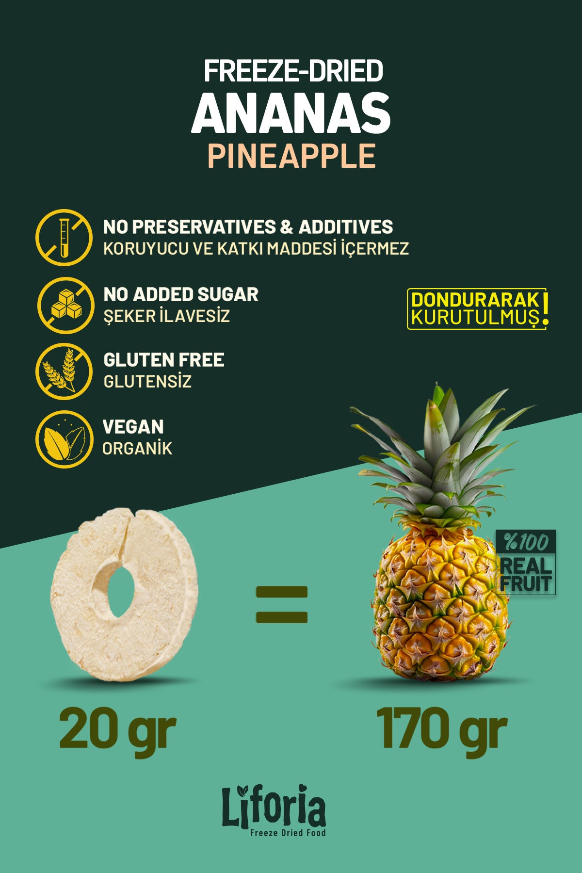 Freeze Dried Ince Dilim Ananas- Dondurularak Kurutulmuş Meyve-freeze Dry Kuru Meyve 20gr-10lu