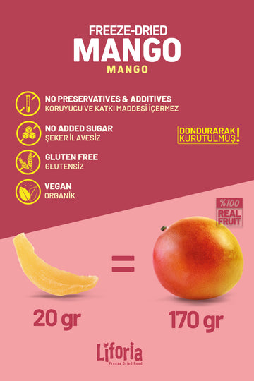Freeze Dried Ince Dilim Mango - Dondurularak Kurutulmuş Meyve - Freeze Dry Kuru Meyve 20gr - 3lü