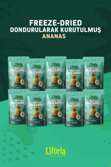 Freeze Dried Ince Dilim Ananas- Dondurularak Kurutulmuş Meyve-freeze Dry Kuru Meyve 20gr-10lu