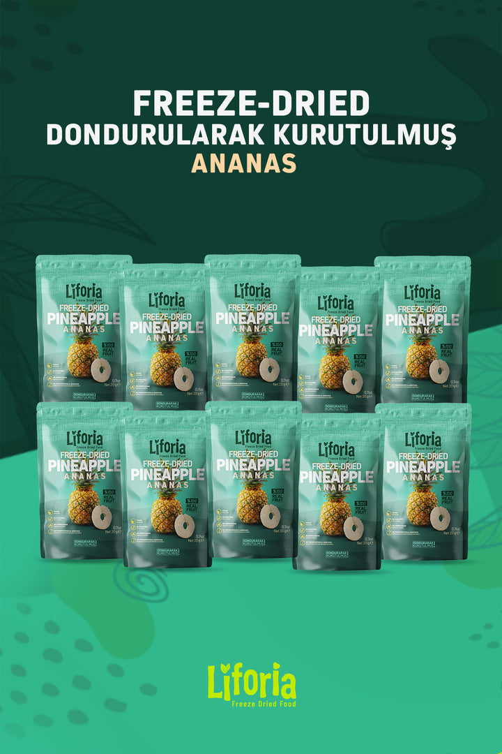Freeze Dried Ince Dilim Ananas- Dondurularak Kurutulmuş Meyve-freeze Dry Kuru Meyve 20gr-10lu