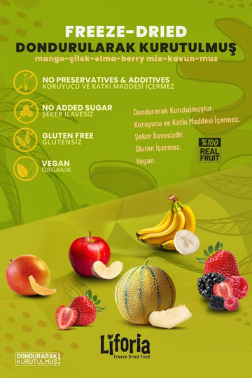 6’lı Dondurulmuş Meyve - Sağlıklı Atıştırmalık - Muz Elma Çilek Mango Berry Mix Kavun