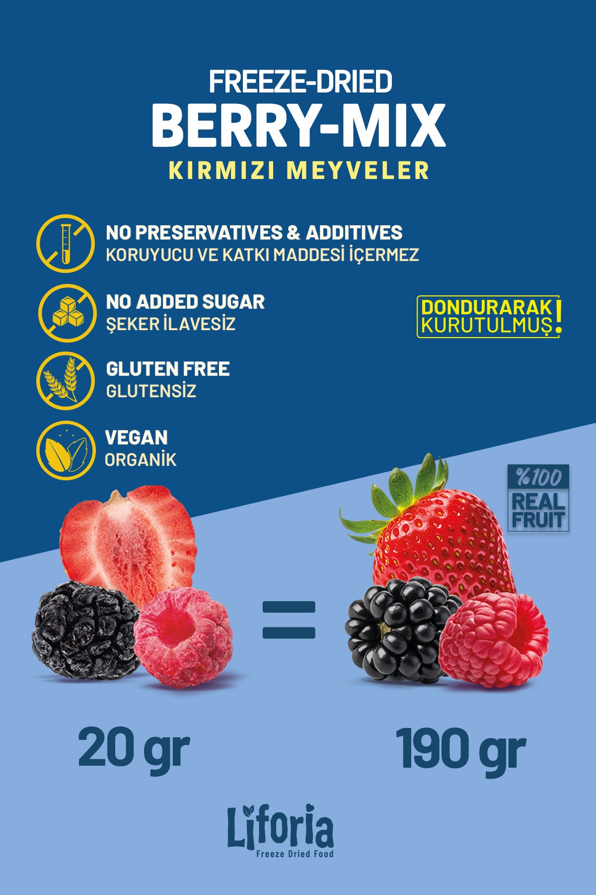 Freeze Dried Berry Mix - Dondurularak Kurutulmuş Meyve - Freeze Dry Kuru Meyve 20gr