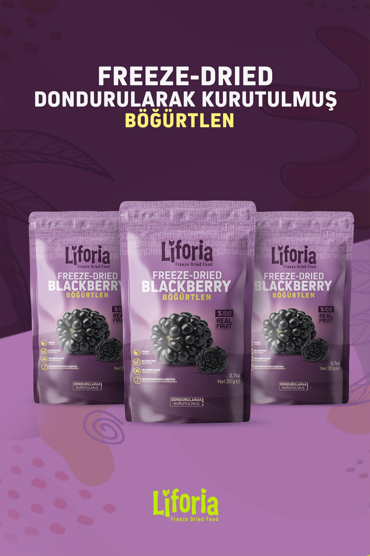 Freeze Dried Tane Böğürtlen - Dondurularak Kurutulmuş Meyve - Freeze Dry Kuru Meyve 20gr - 3lü