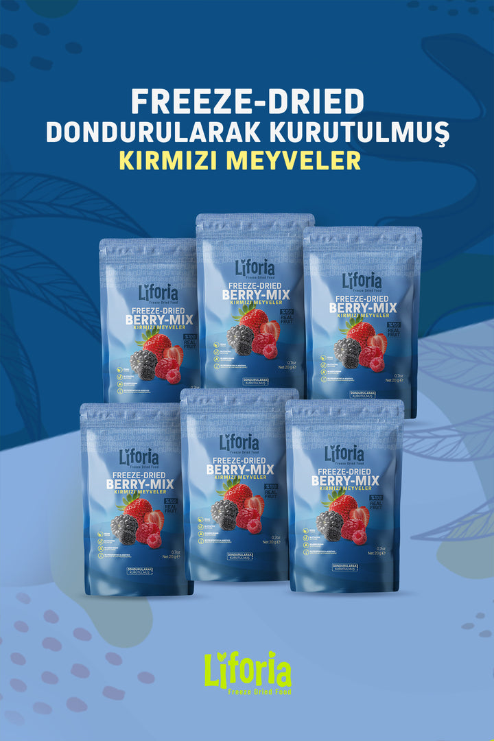Freeze Dried Berry Mix - Dondurularak Kurutulmuş Meyve - Freeze Dry Kuru Meyve 20gr - 6lı