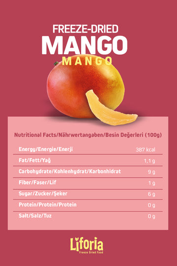Freeze Dried Ince Dilim Mango - Dondurularak Kurutulmuş Meyve - Freeze Dry Kuru Meyve 20gr - 6lı