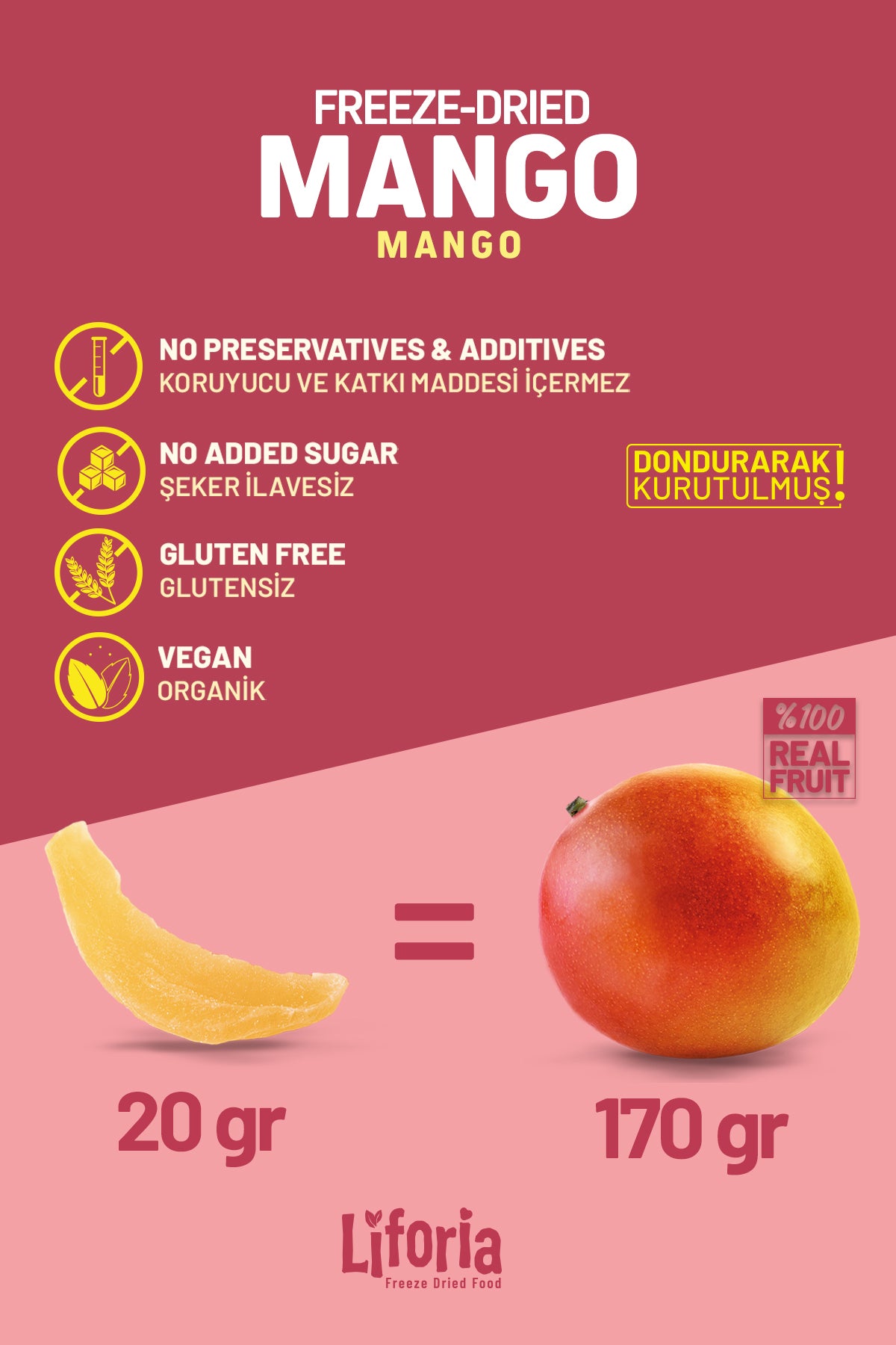 Freeze Dried Ince Dilim Mango - Dondurularak Kurutulmuş Meyve - Freeze Dry Kuru Meyve 20gr - 6lı