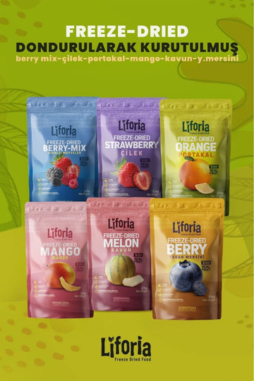 6’lı Dondurulmuş Meyve - Sağlıklı Atıştırmalık - Mango Berry Mix Portakal Yaban Mersini Çilek Kavun