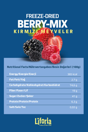 2’li Dondurularak Kurutulmuş Kuru Meyve - Sağlıklı Atıştırmalık - Berry Mix Ve Elma Kurusu