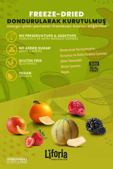 6’lı Dondurulmuş Meyve - Sağlıklı Atıştırmalık - Mango Çilek Portakal Frambuaz Kavun Böğürtlen