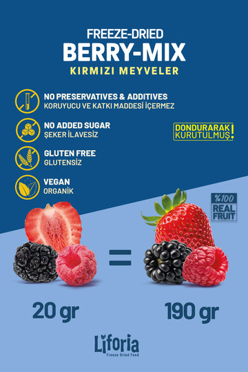 2’li Dondurularak Kurutulmuş Kuru Meyve - Sağlıklı Atıştırmalık - Berry Mix Ve Ananas Kurusu